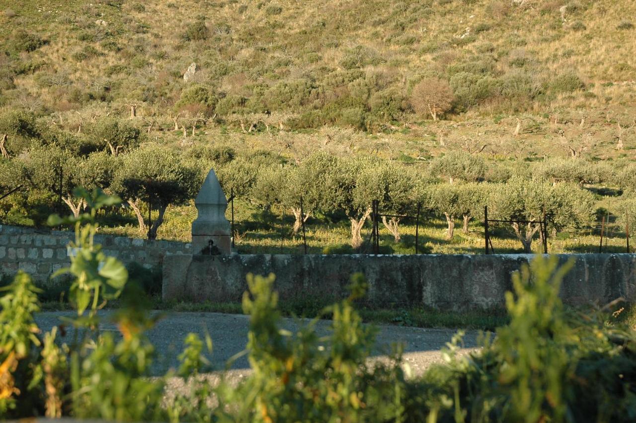 Il Vecchio Frantoio Scillato (Sicily) Exterior photo